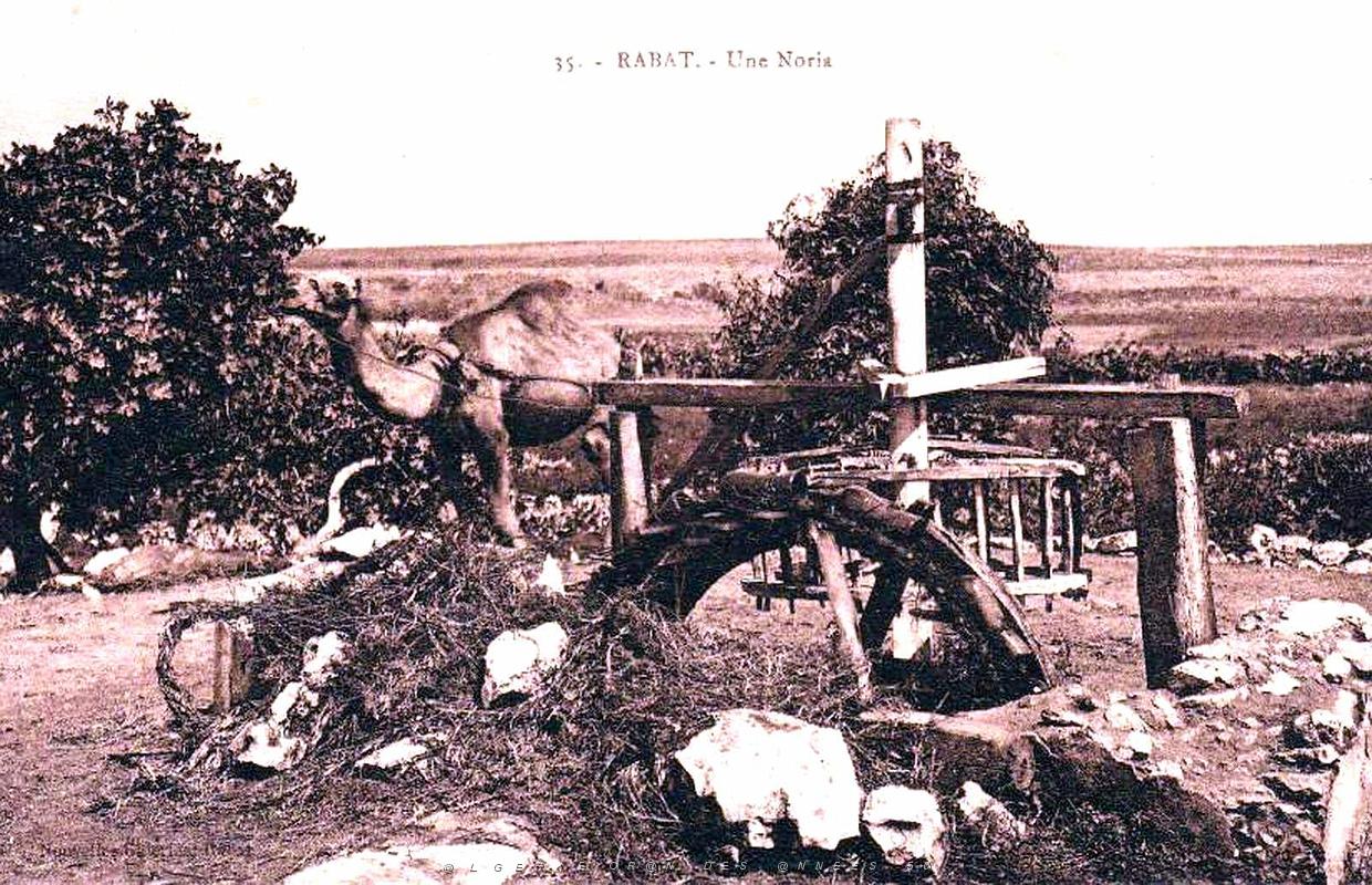 Puits typiques d'AFN - 067.jpg